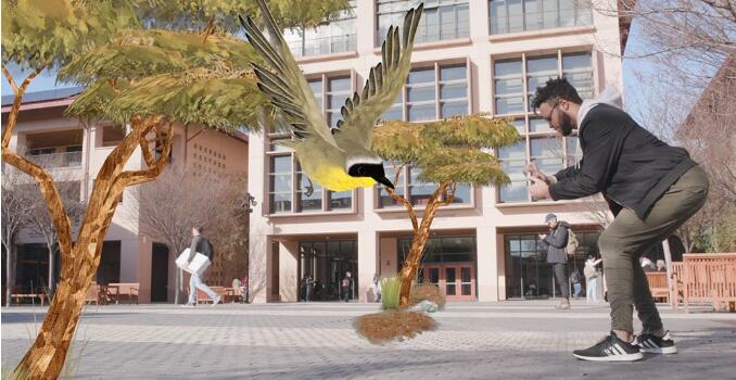 《Krikey》应用包含两个以保护自然为主题的游戏